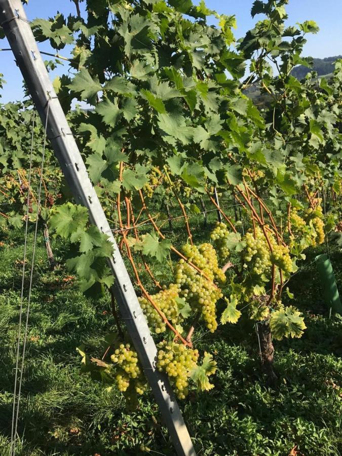 Landpension Gschwantner Lengenfeld Екстериор снимка